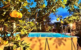 I Sogni Di Venere